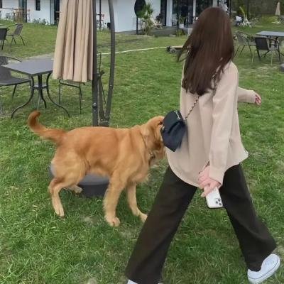 向前一步综艺